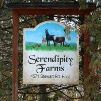 Serendipity Farms, Kelowna, BC opening hours