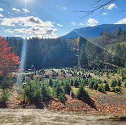 Middlemiss Farms, Duncan, BC opening hours