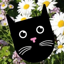 One Spoiled Kitty inc, Winnipeg, MB opening hours