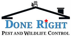 Done Right Pest and Wildlife Control, Hamilton, ON opening hours