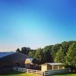 Fairly Big Farm, Goodwood, ON opening hours