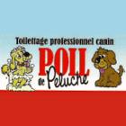 Le Salon Poil De Peluche Enr, Saint-Georges, QC opening hours