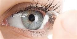 Crescent Heights Optometry, Calgary, AB opening hours