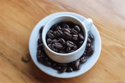 Toronto Coffee and Tea House, opening hours
