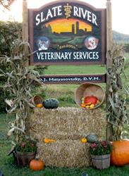 Slate River Veterinary Services, Neebing, ON opening hours