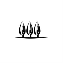 AB + C Landscape Maintenance Inc, Abbotsford, BC opening hours