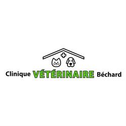 Clinique Veterinaire Bechard, Rouyn-Noranda, QC opening hours