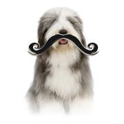 Les Moustachus Salon de Toilettage, Saint-Augustin-de-Desmaures, QC opening hours