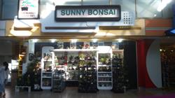 Sunny Bonsai, Burnaby, BC opening hours