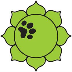 Puppy Love Yoga, Toronto, ON opening hours