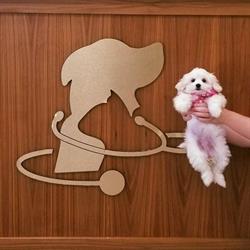 Burlington Lakeshore Veterinary Hospital, opening hours