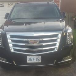 Yol Limo, Thornhill, ON opening hours