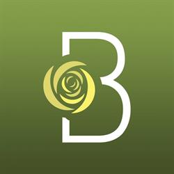 Boccabella Beauty, St. Catharines, ON opening hours