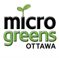 Microgreens Ottawa, opening hours