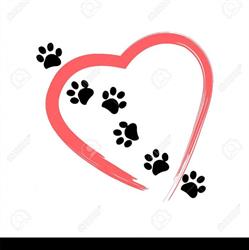 Paws In The Sand Dog Grooming, White Rock, BC opening hours