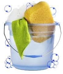 Total Green Commercial Cleaning and Maintenance Ltd., Coquitlam, BC opening hours