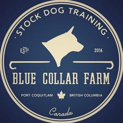 Blue Collar Farm, Port Coquitlam, BC opening hours