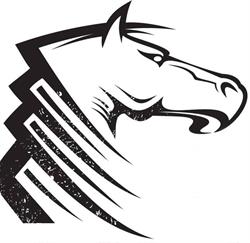 WorkHorse Strength and Conditioning, Clinton, ON opening hours