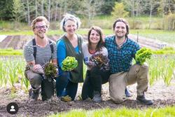 Duck Creek Farm, Salt Spring Island, BC opening hours