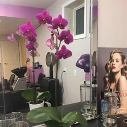 Wildflowers Family Hair Salon, Kitchener, ON opening hours