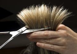 Bang Hair Design, Hamilton, ON opening hours