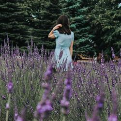 Greendale Lavender Company, Chilliwack, BC opening hours