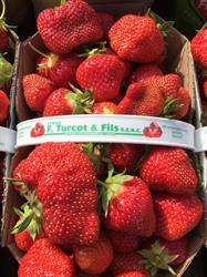 Ferme F Turcot et fils, Laval, QC opening hours