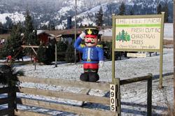 The Tree Farm, Armstrong, BC opening hours