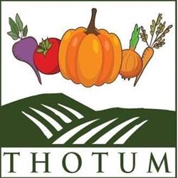 Thotum, Winnipeg, MB opening hours