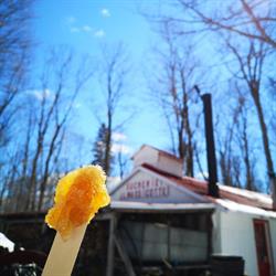 SUCRERIE JEAN-LOUIS MASSICOTTE ET FILLES, Saint-Prosper, QC opening hours