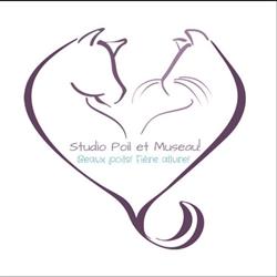 Studio Poil et Museau Sonia Lavigne, Saint-Vianney, QC opening hours