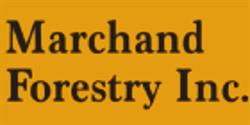 Marchand Forestry inc, Verret, NB opening hours