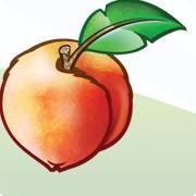 Printing Peach, Waterdown, ON opening hours