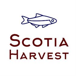 Scotia Harvest Inc., Digby, NS opening hours