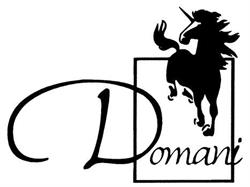 Domani Design Group, Toronto, ON opening hours