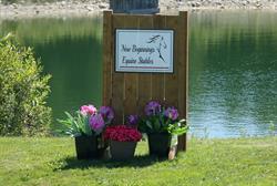 New Beginnings Equine Stables, Omemee, ON opening hours