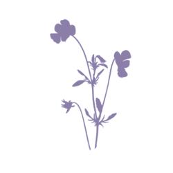 Wildflower Health & Wellness, Bolton, ON opening hours