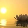 East River Meditation Healing Centre, New Glasgow, NS opening hours