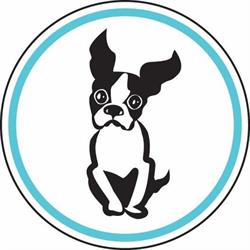 Doodle Dogs, Calgary, AB opening hours