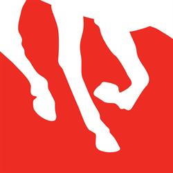 Red Scarf Equestrian Inc, Collingwood, ON opening hours
