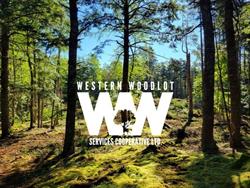 Western Woodlot Services Cooperative Ltd, Church Point, NS opening hours