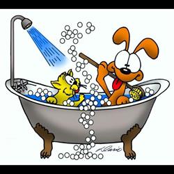Pat's Pet Care, Stettler, AB opening hours