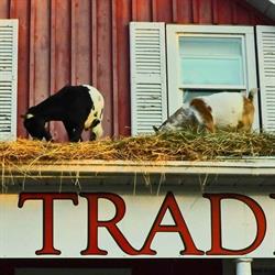 Loyalist Trading Co, Bath, ON opening hours