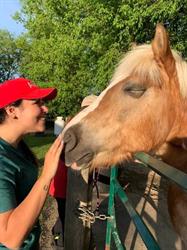 A Horse Tale Rescue/Une Histoire de Chevaux, Vaudreuil-Dorion, QC opening hours