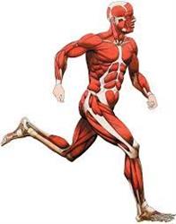 Back 2 Health Physiotherapy, Airdrie, AB opening hours