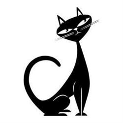 Blackcat Concepts, Aylmer, ON opening hours