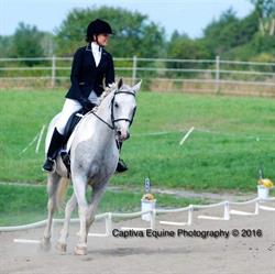 Whitewater Equestrian Centre, Pembroke, ON opening hours