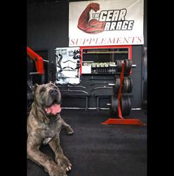 The Gear Garage, Sault Ste. Marie, ON opening hours