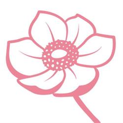 September Charm Flowers, Burlington, ON opening hours