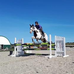 El Rancho Equestrian, Elmvale, ON opening hours